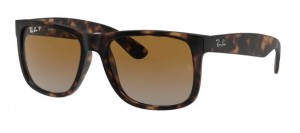 Ray Ban 4165 865/T5 55