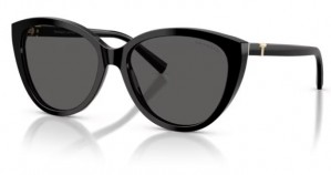 Tiffany & Co. 4251 8001S4