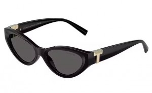 Tiffany & Co. 4225U 8001S4