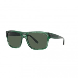 Emporio Armani 4197 516871