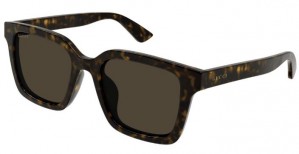 Gucci GG1582SK 002 havana havana brown
