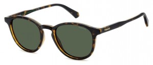 Polaroid Pld 4191/s 086/UC HAVANA