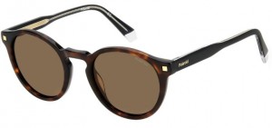 Polaroid Pld 4150/s/x 086/SP HAVANA