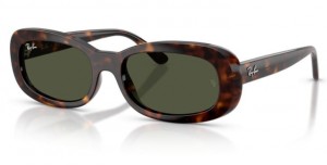 Ray Ban 2221 902/31