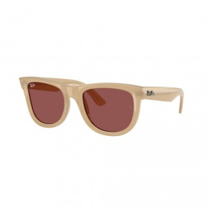 Ray Ban R0502S 678069