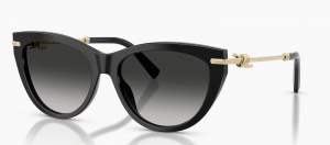 Tiffany & Co. 4253 80013C