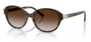 Tiffany & Co. 4263 81343B