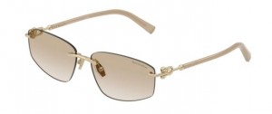 Tiffany & Co. 3114 602111