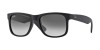 Ray-Ban 4165 601/8G 54, 180,00 €, Occhiali Ray Ban Nero a forma Rettangolare