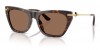 Dolce & Gabbana 4511 502/73, 325,00 €, Occhiali Dolce&Gabbana Marrone a forma Gatto