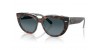 Ray Ban 2286 1413S3, 280,00 €, Occhiali Ray Ban Marrone a forma Rotondo
