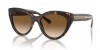 Tiffany & Co. 4220 801551, 435,00 €, Occhiali Tiffany & Co. Marrone a forma Gatto