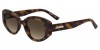 Moschino Love Mol105/s WR9/HA BROWN HAVANA, 160,00 €, Occhiali Moschino Marrone a forma Ovale