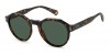 Polaroid Pld 6207/s 086/UC HAVANA, 100,00 €, Occhiali Polaroid Marrone a forma Rotondo