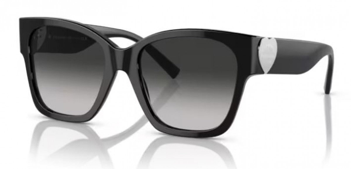Tiffany & Co. 4216 80013C, 370,00 €, Occhiali Tiffany & Co. Nero a forma Squadrato