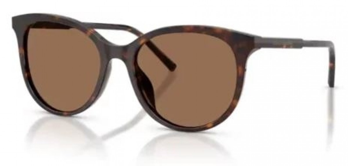 Dolce & Gabbana 4540 502/13, 255,00 €, Occhiali Dolce&Gabbana Marrone a forma Rotondo