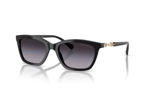 Emporio Armani 4238 50178G