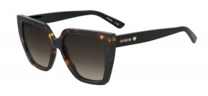 Moschino Mol088/s 086/HA HAVANA