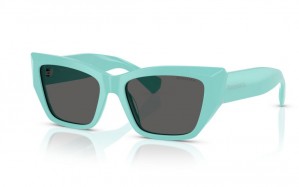 Tiffany & Co. 4230 8388S4