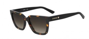 Moschino Mol087/s 086/HA HAVANA