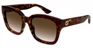 Gucci GG1338S 003 havana havana brown