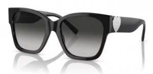 Tiffany & Co. 4216 80013C