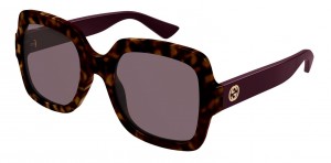 Gucci GG1337S 009 havana violet violet