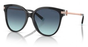 Tiffany & Co. 4193B 80019S