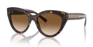 Tiffany & Co. 4220 801551