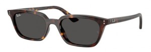 Ray Ban 4456 135987