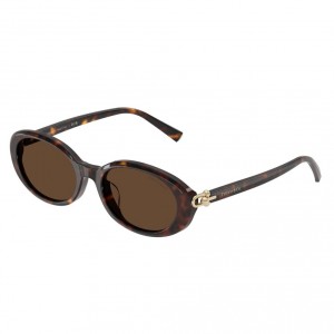 Tiffany & Co. 4242D 80153G