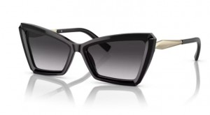 Tiffany & Co. 4203 80013C